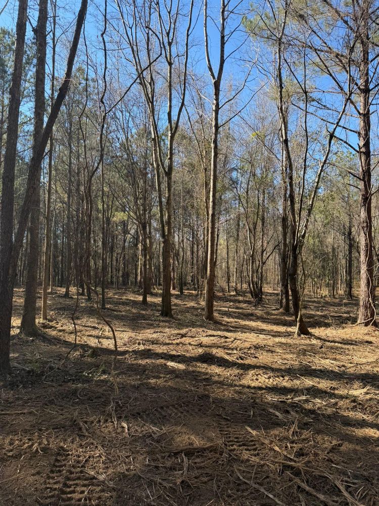 All Photos for Big Munchie Landworx in Jackson, MS