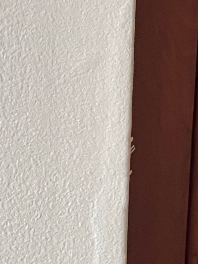 All Photos for Tony's Remodeling & Painting in Renton, WA