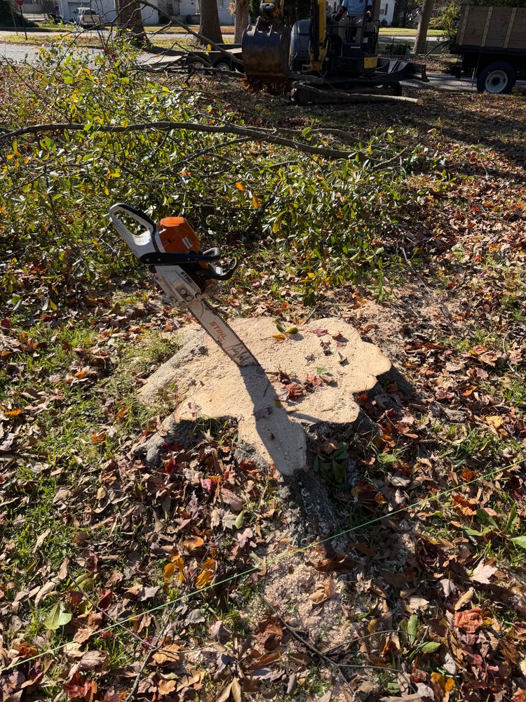 All Photos for Tidewater Tree Service in Chesapeake, VA