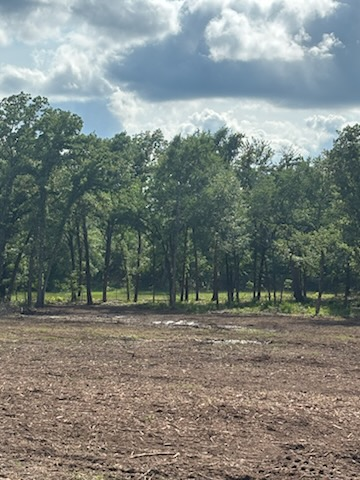 All Photos for JM Services in Woodville, TX
