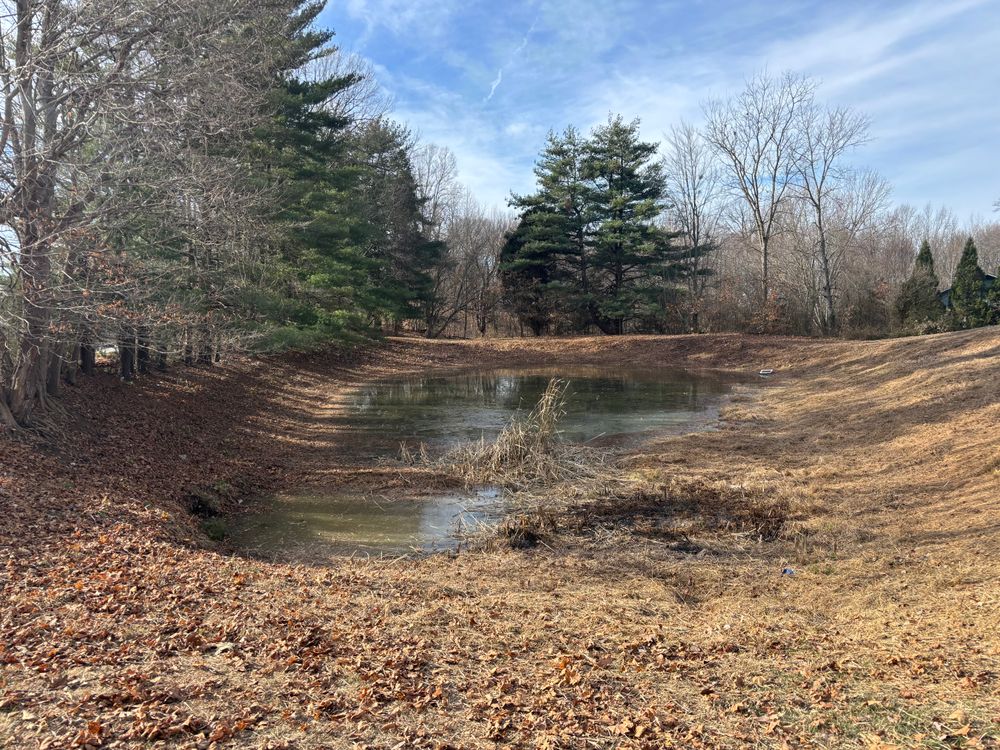 All Photos for Optimum Tree Service And Landscaping in Bowling Green, KY