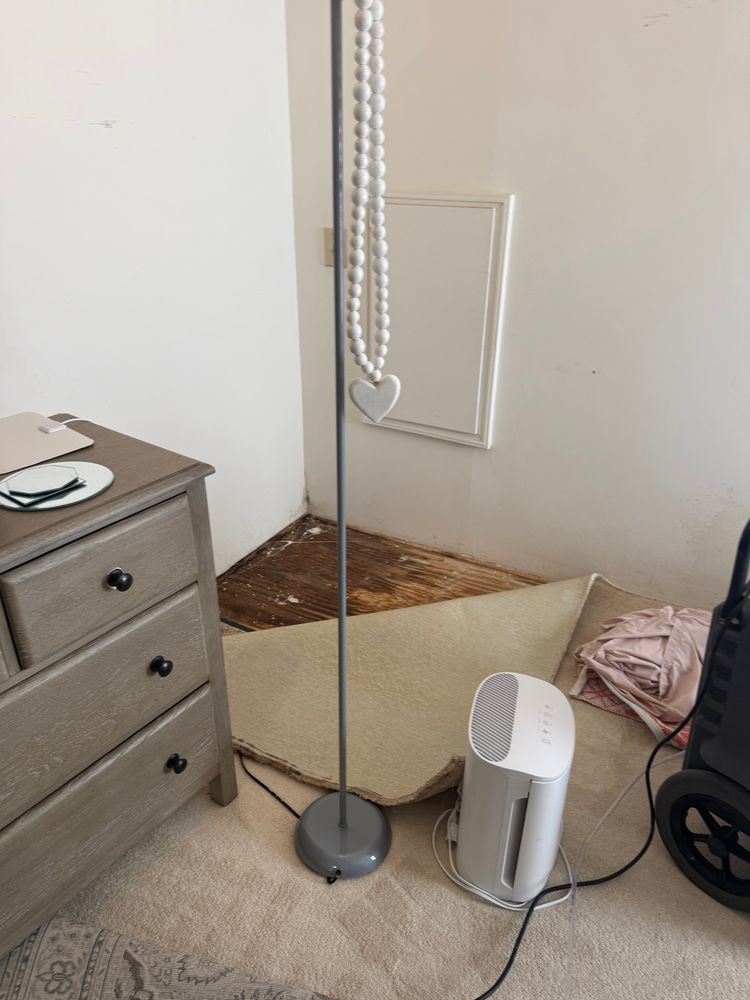 All Photos for Titan Remediation Industries in West Palm Beach, FL