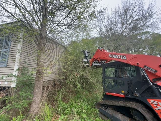 Tree Cleanup  for D&D Services of Pensacola in Pensacola, FL