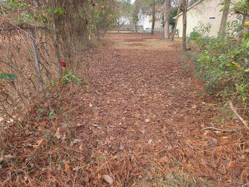 Our Landscape Maintenance service ensures your outdoor spaces remain pristine and beautiful. We provide regular care, including mowing, trimming, and seasonal cleanups, to enhance curb appeal and promote healthy plant growth. for Just Mow and Go Lawn Service, LLC in New Bern, NC