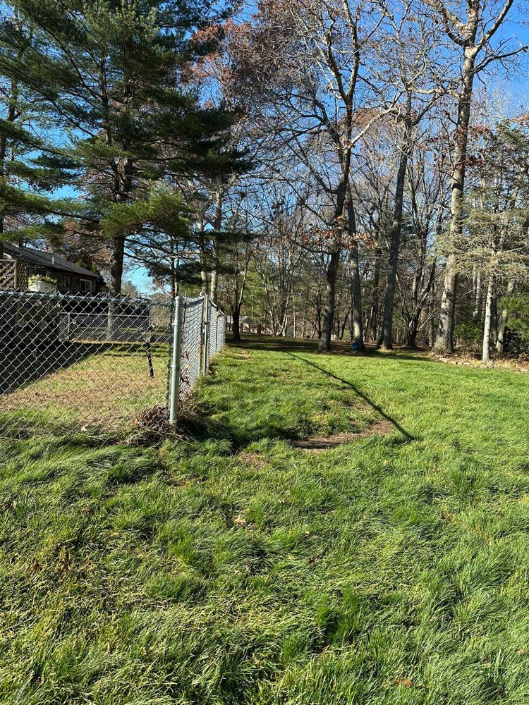 All Photos for Silver City Tree and Landscape in Taunton, MA