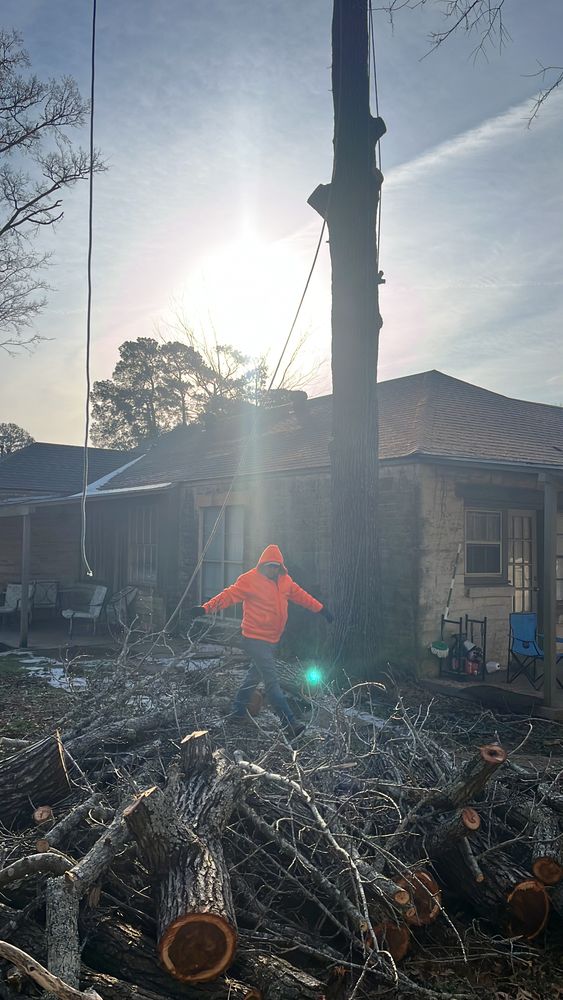 All Photos for JC Land and Tree Service in Kilgore, TX