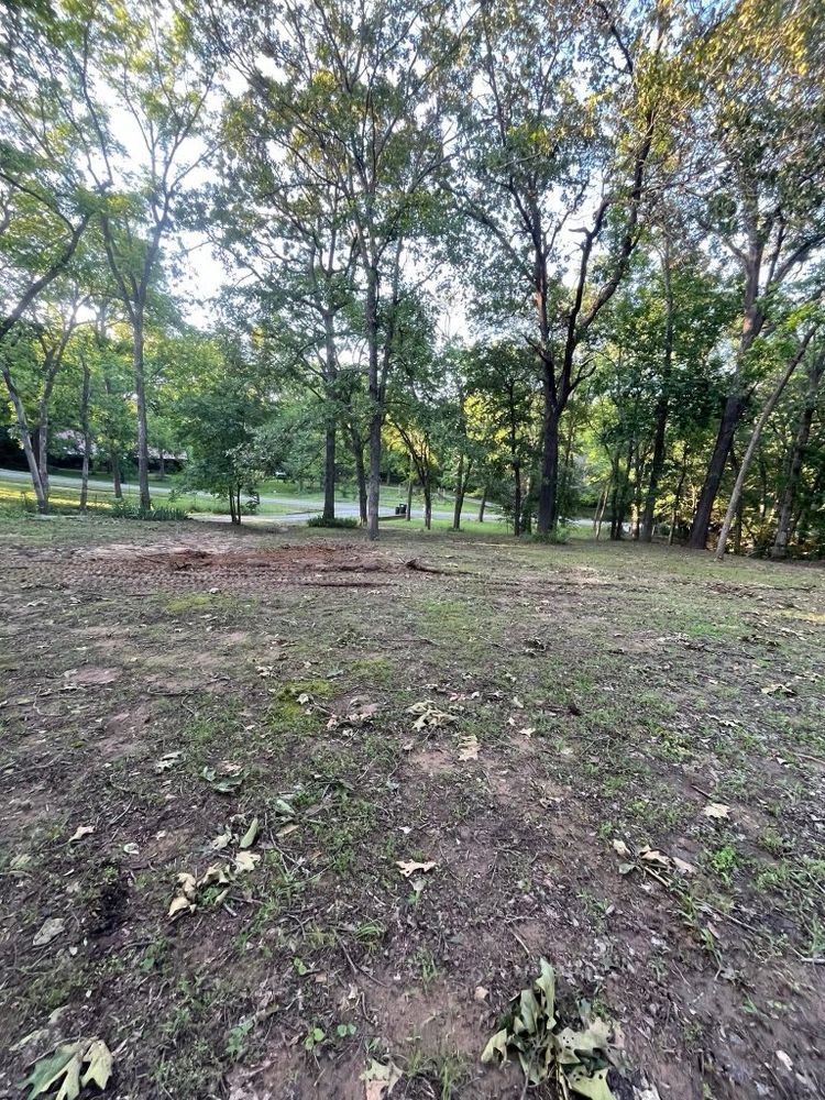 All Photos for CND Tree Services in Claremore, OK