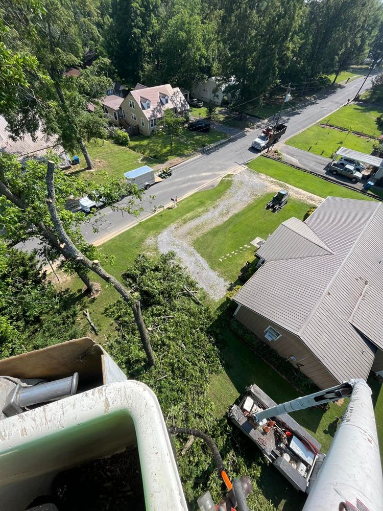 Tree Removal for Big Rock Tree Removal LLC in Boaz, AL