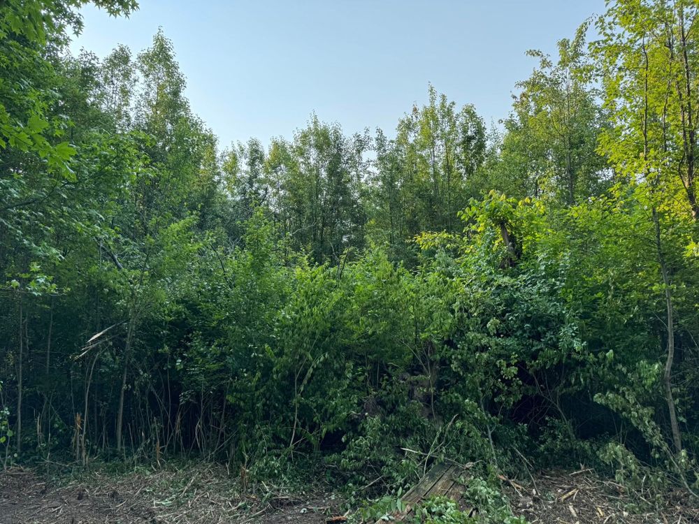 All Photos for Stevens Land Management LLC in Olympia, KY