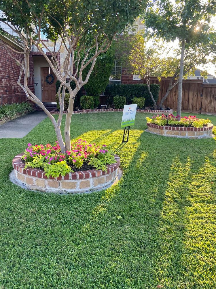 Seasonal color changes for Guerrero's Landscape in Fort Worth,  TX