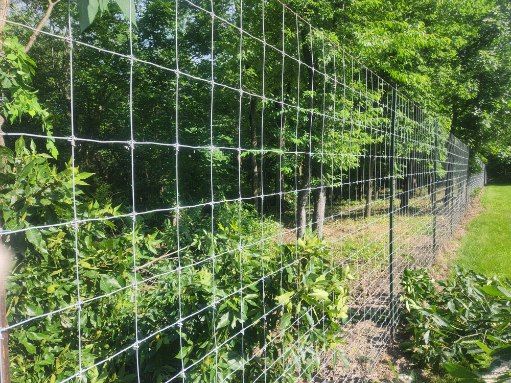 All Photos for Lawn Ranger Yard And Tree Service LLC in Ottumwa, IA