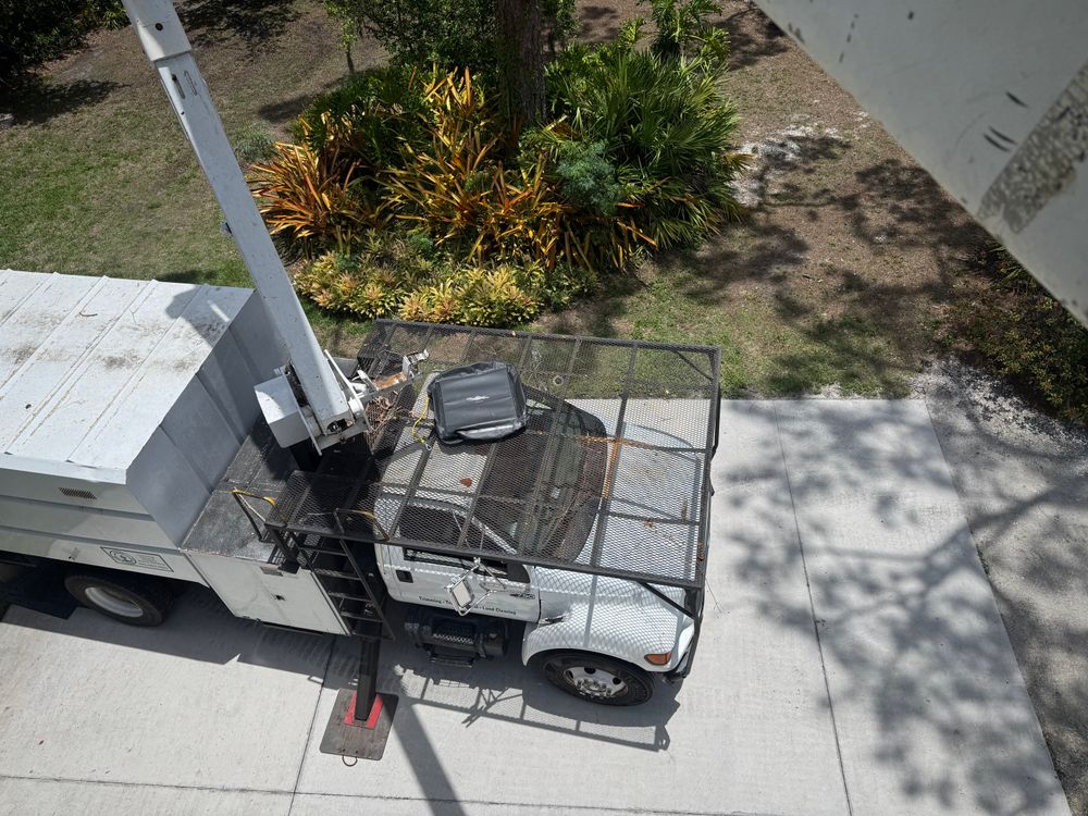 All Photos for Adam's Tree and Stump Care in Sarasota, FL