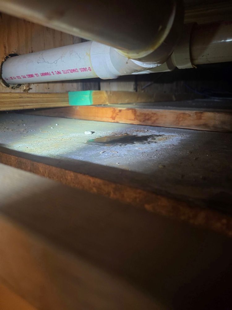 All Photos for Donovan & Sons in Fredericksburg, VA