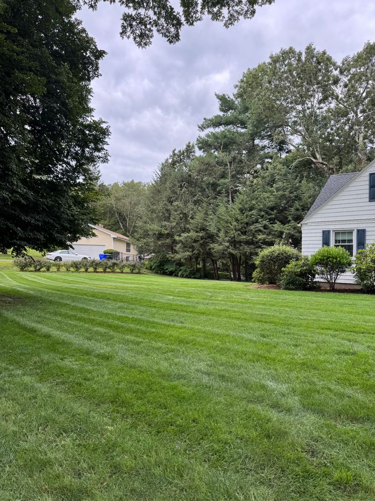 All Photos for Adams Landscaping in Springfield, MA