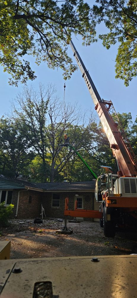 Our Lot Clearing service expertly removes unwanted vegetation and debris to prepare your property for projects like construction or landscaping. We ensure a clean slate while preserving valuable trees and improving site safety. for Olson Tree Service, Inc in Rockford, IL