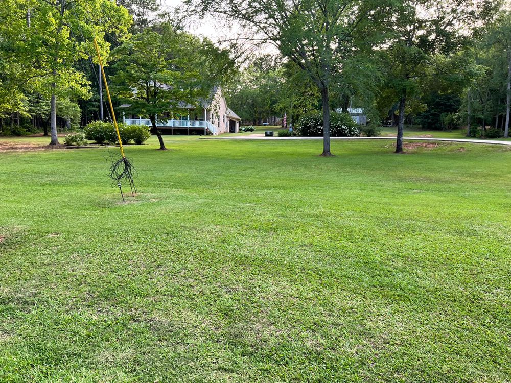 Fall and Spring Clean Up for Battle Lawn Maintenance in Eatonton, GA