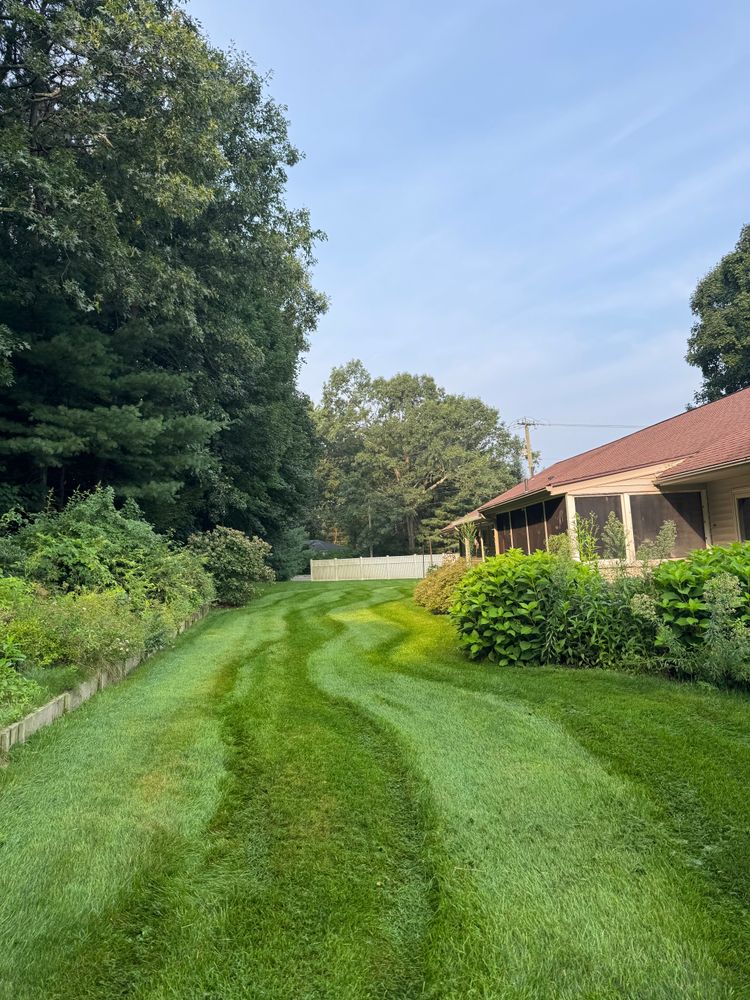 All Photos for Adams Landscaping in Springfield, MA