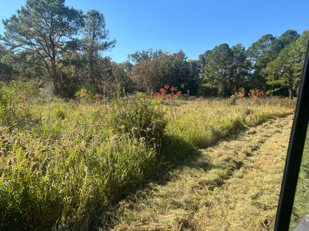 All Photos for Southern Venom Services in Daphne, AL