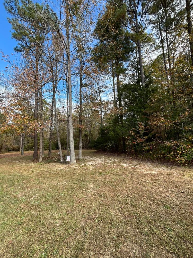 All Photos for C + C Landscaping in Chesterfield, VA