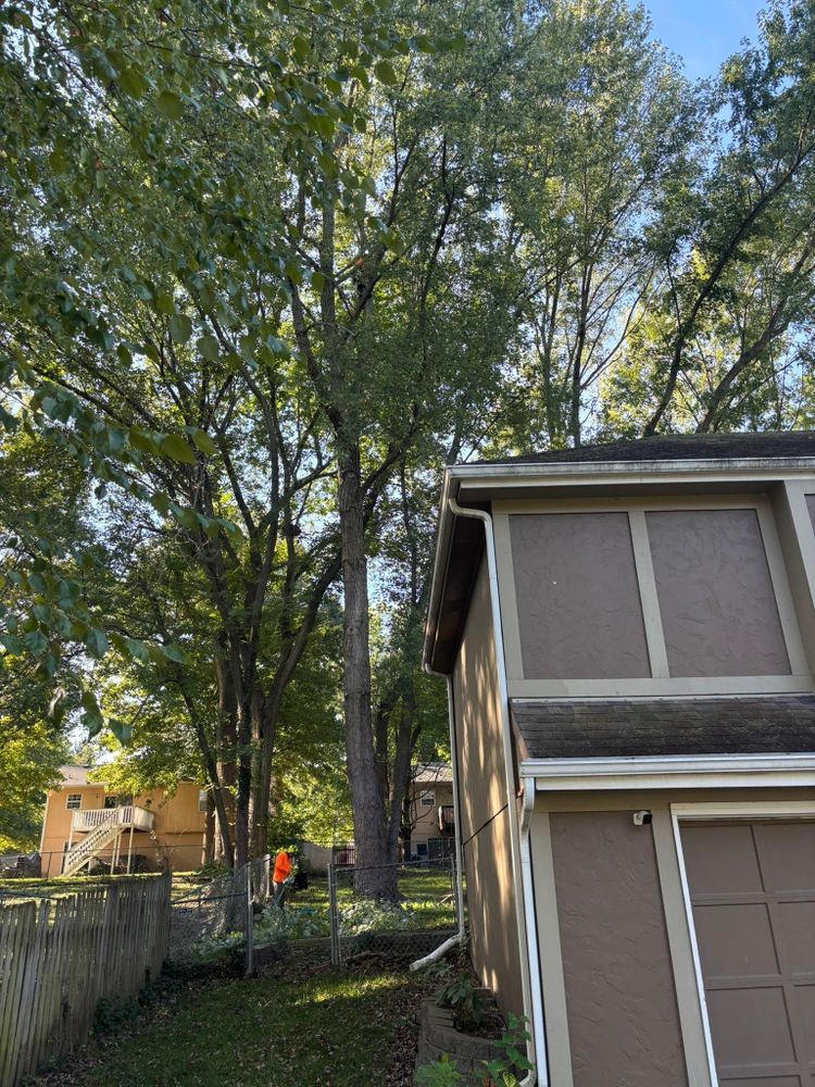 All Photos for Cross Family Tree Service in Kearney, MO