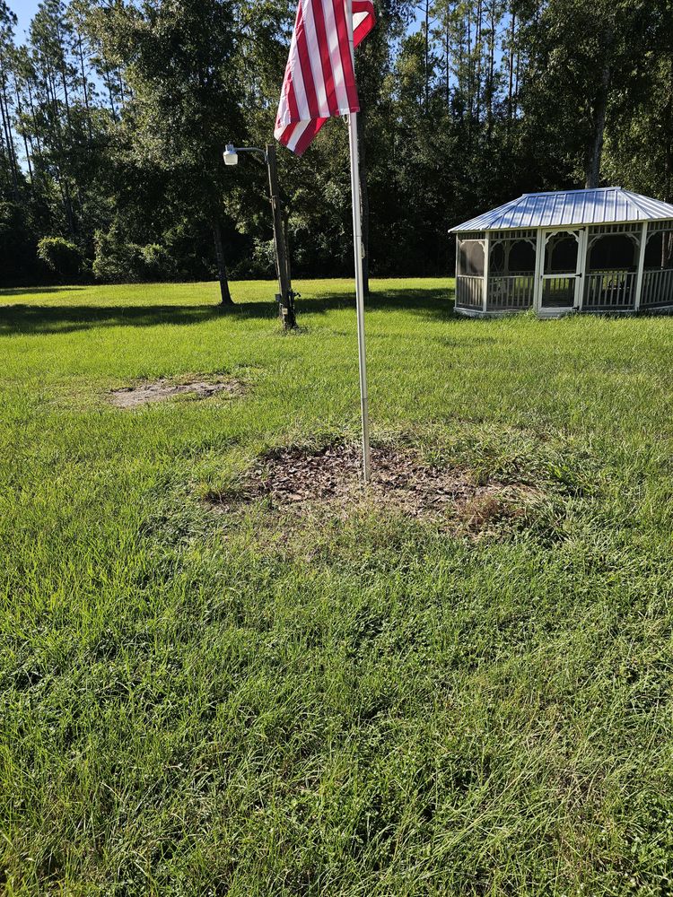 All Photos for Deeper Roots Landscape in High Springs, FL