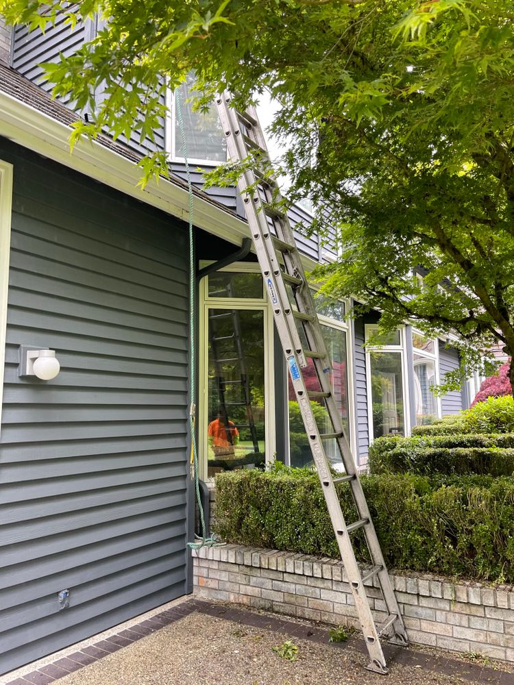 All Photos for Tony's Remodeling & Painting in Renton, WA