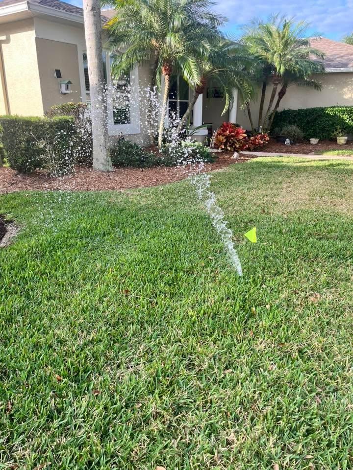 All Photos for The Sprinkler Lady in Port Orange, FL