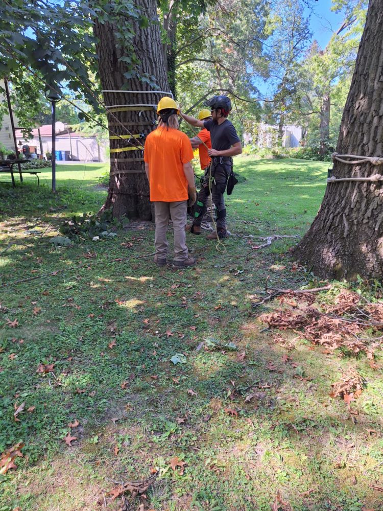 All Photos for Highborn Tree Service in Wheatfield, IN