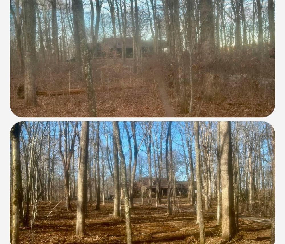 All Photos for McBee’s Tree Service in Sewanee, TN