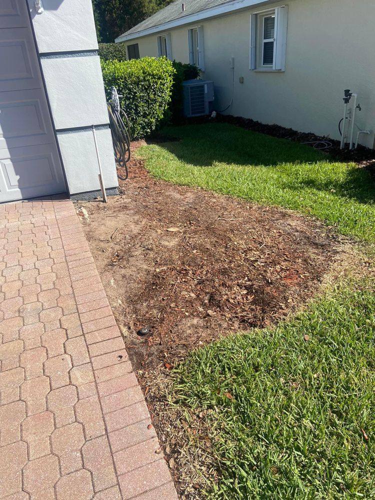 Fall and Spring Clean Up for Efficient and Reliable Tree Service in Lake Wales, FL