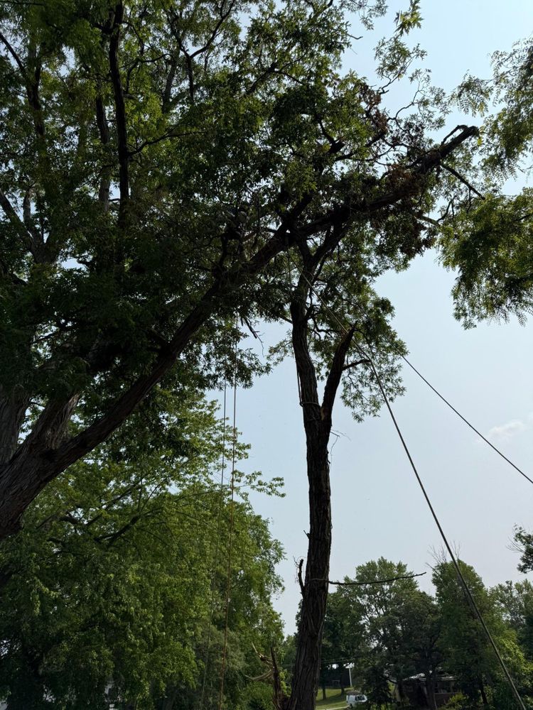 All Photos for Hunnicutt’s Tree Service L.L.C. in Monticello, IN