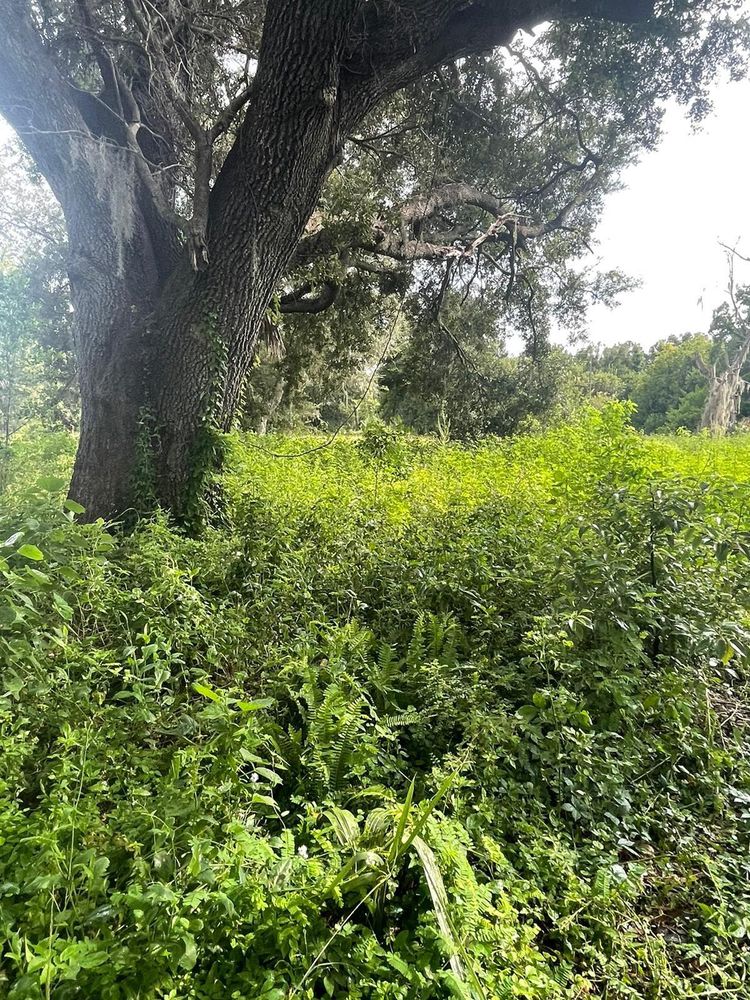 All Photos for Estrada All Pro Lawn Service in Auburndale, Florida