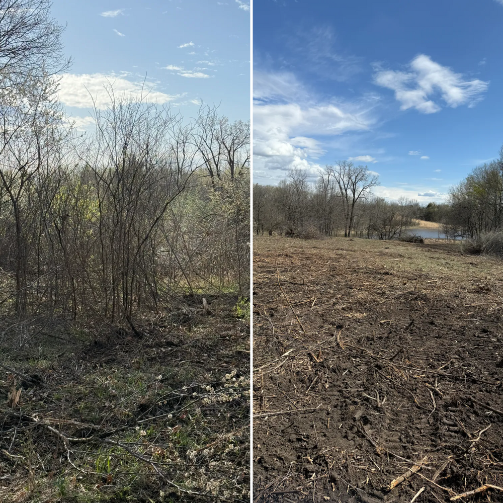 Brush Clearing for Cutting Edge Land Solutions in Stanberry, MO