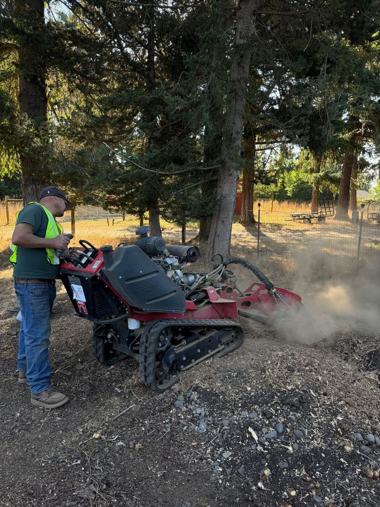 All Photos for Willamette Landscaping and Tree Services in Albany, OR