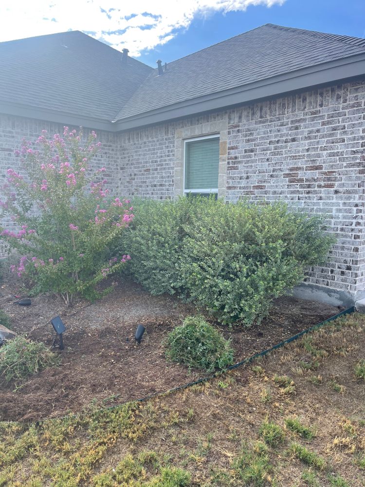 Landscaping Renovations for Elite Horizons in Abilene, TX