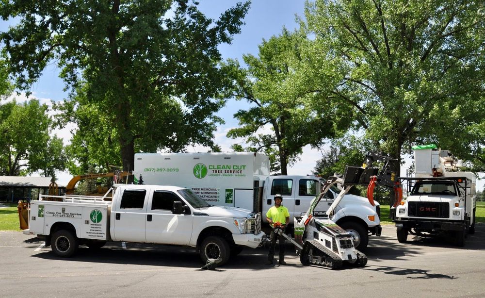 All Photos for Clean Cut Tree Service in Gillette, WY