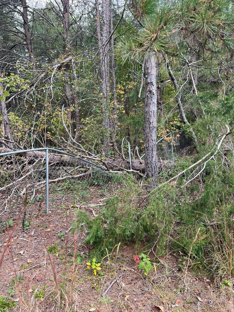 All Photos for Brooks Tree Service, LLC in Casar, NC