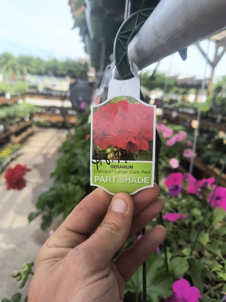 All Photos for Starnes Hardscapes & Property Management LLC in Dunlap, TN