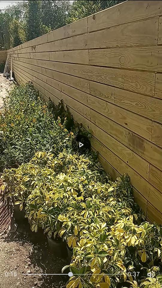 All Photos for Thunder Painting Services in Oakland Park, FL