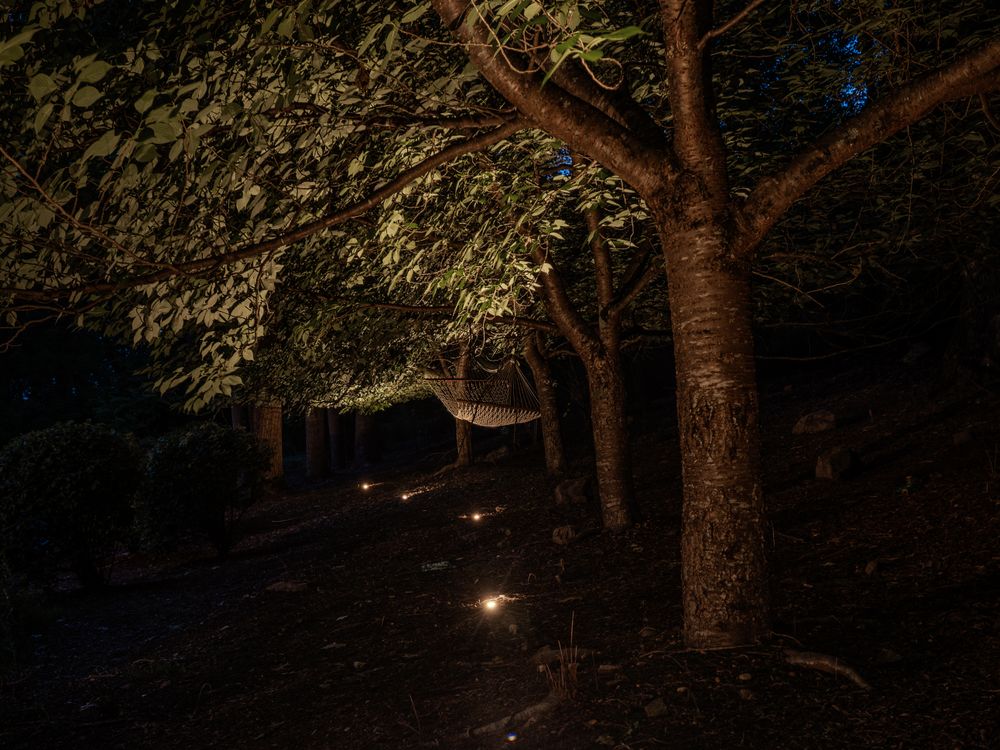 All Photos for Unique Outdoor Lighting in Short Hills, NJ