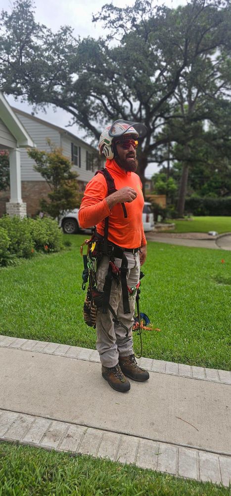 All Photos for Servin's Tree Care  in Houston, TX