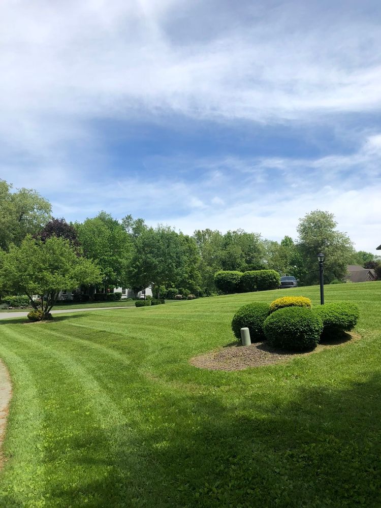 All Photos for Wilt Landscaping in Greenville, PA