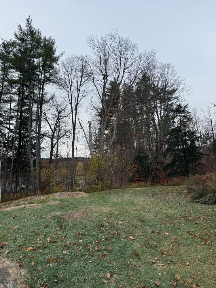 All Photos for Clifford’s Quality Tree Care & Landscaping in Enfield, NH