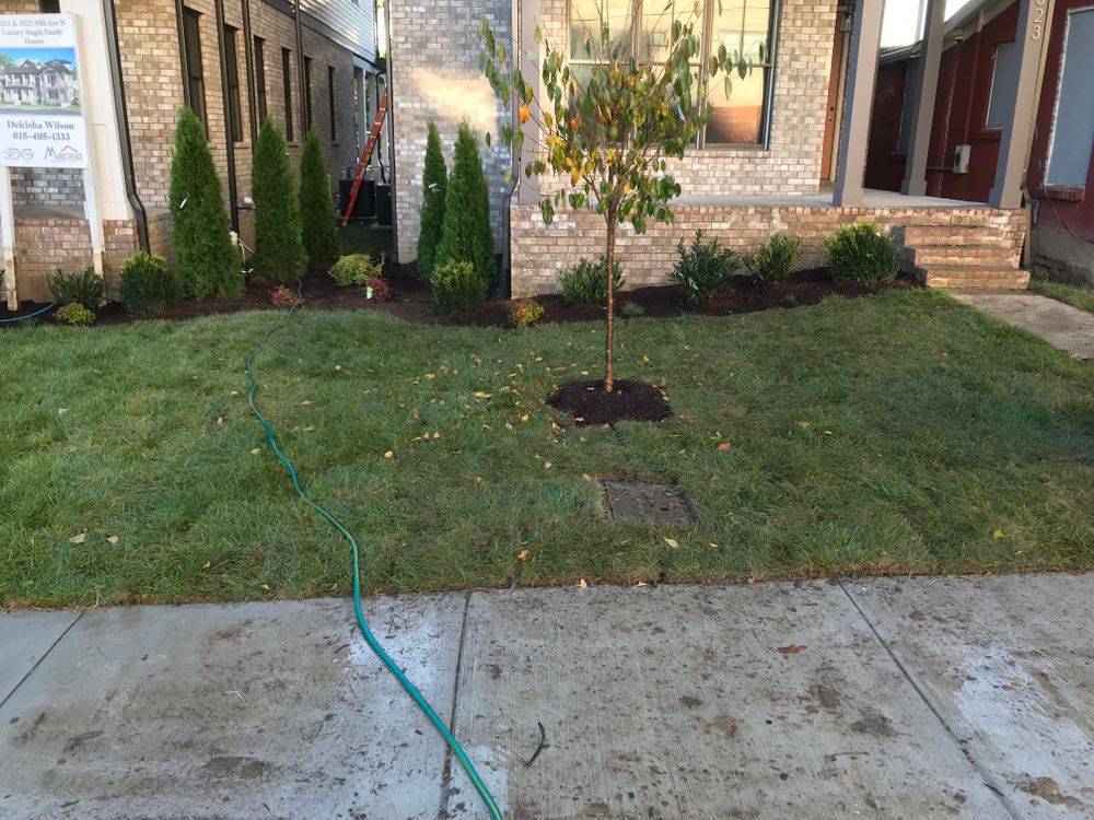 All Photos for Grass Management in Nashville, TN