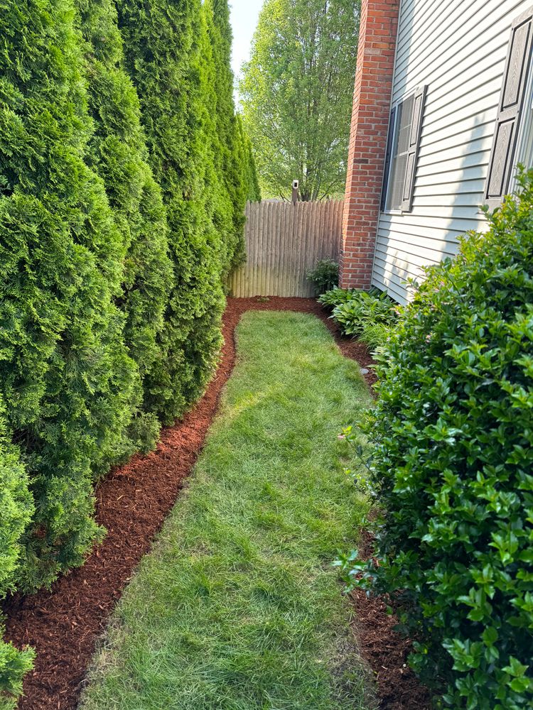 All Photos for Adams Landscaping in Springfield, MA