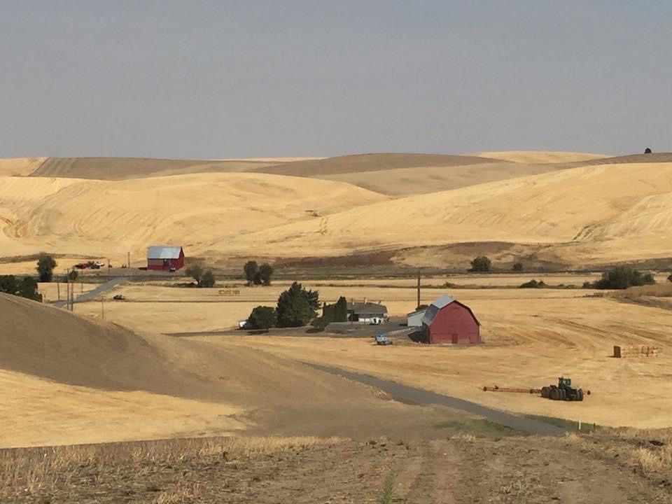 Barn Painting for Chewelah Painting in Spokane, WA