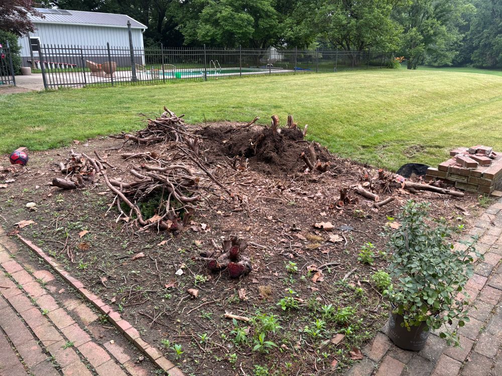 All Photos for Conrad's Stump Removal in Columbus, IN