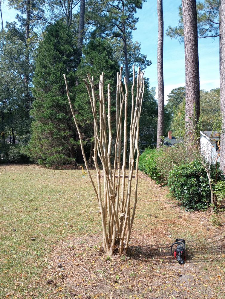 All Photos for Handy Al's Landscaping LLC in Greenville, NC