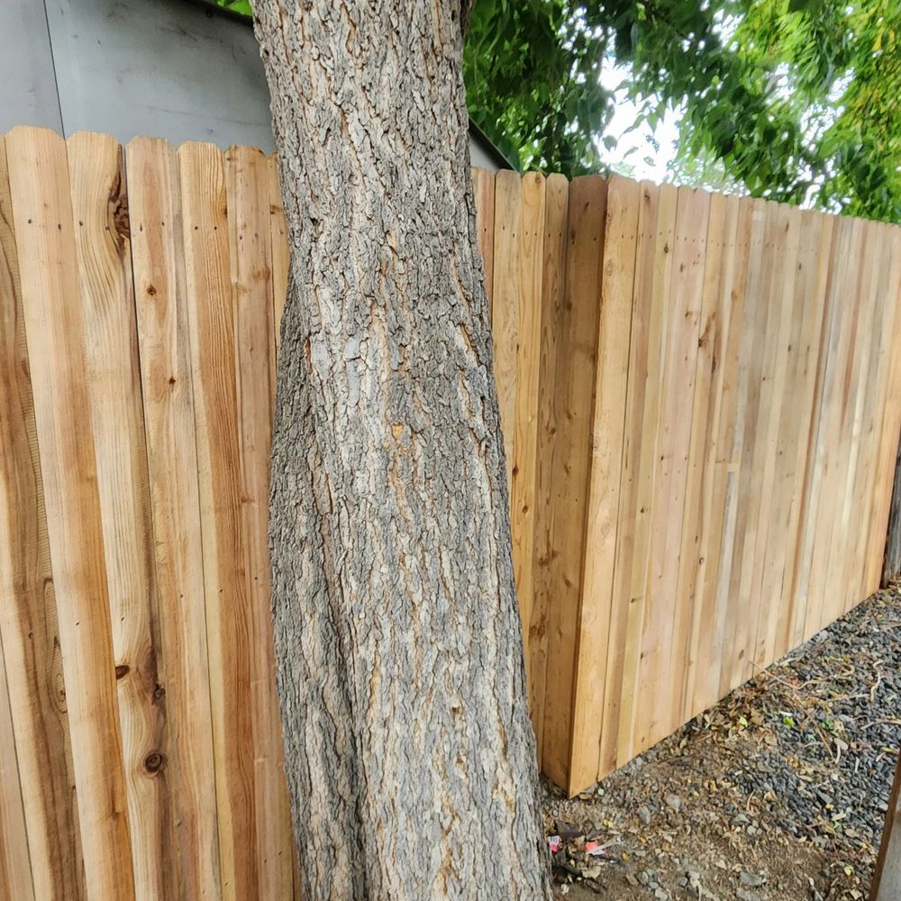 All Photos for Bullpit Fencing in Lochbuie, CO