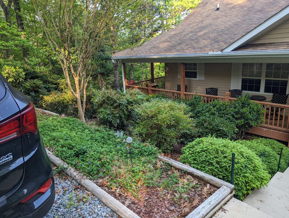 Land Clearing for WNC Tree Works LLC in Murphy,  North Carolina